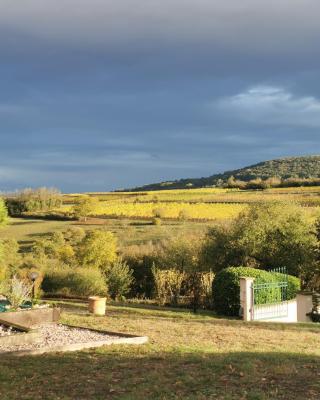 Studio spacieux, route des vins