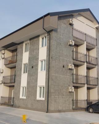 Apartman Iris Srebrno jezero