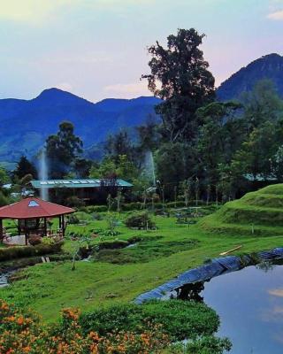 Los Quetzales Ecolodge & Spa