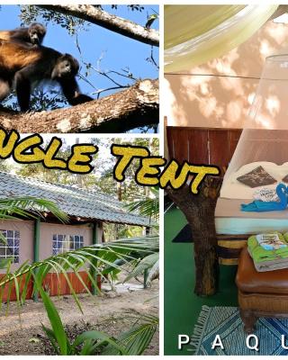 Fully Furnished FAMILY JUNGLE TENT, Latino Glamping Paquera