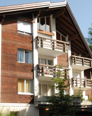 Charming and cosy apartment (sleeps 4-6 people) in a beautiful mountain village