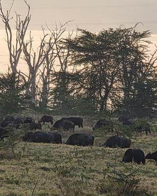 G&G Executive Homes Pipeline Nakuru