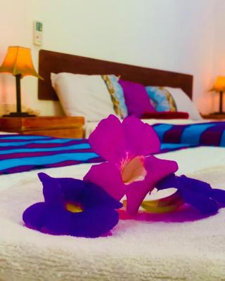 Aloe Home Stay