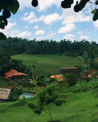 Bali Lush