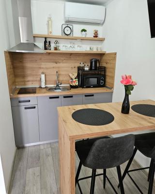 Studio apartman Antonio