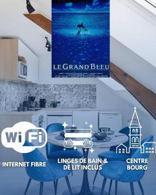 Le Grand Bleu - Wifi fibre/Linge/Accès cour