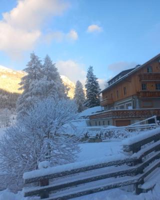 Alpen Apartments Salzburg