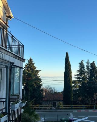 Rooms & Apartments Semić