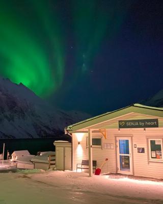 Senja Fjordcamp