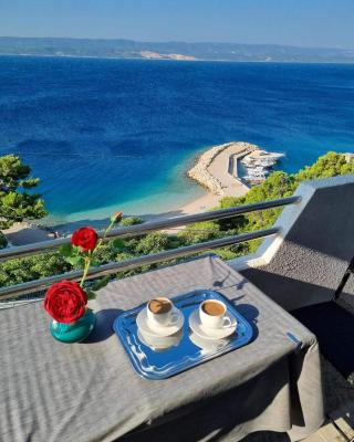 Apartments Villa ALEN