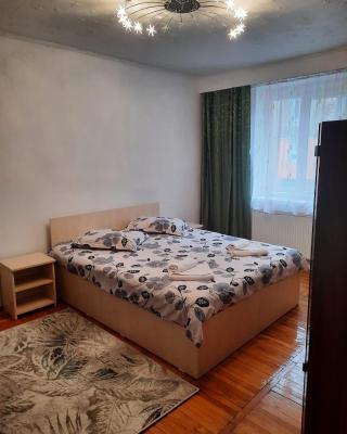 Apartament Central