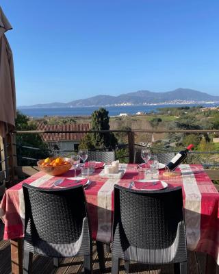 Corsicadream Arone superbe appartement dans villa, vue panoramique mer, piscine, proche Porticcio