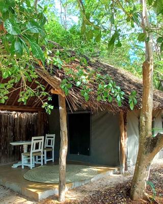 Bamba Kofi Tented Camp