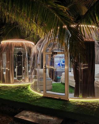 The Coco Journey - Eco Dome