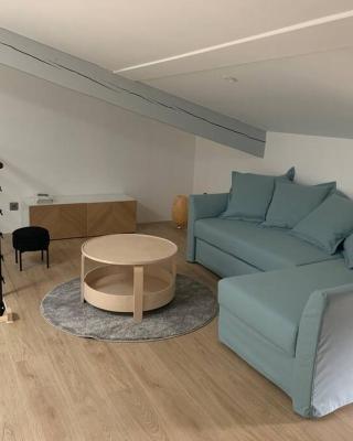 Magnifique appartement T2 en Centre VILLAGE