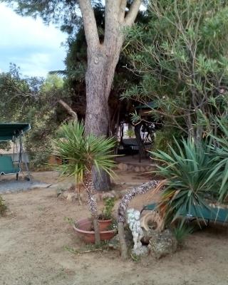 B&B Il Vigneto