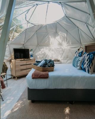 The Forest Dome Tsitsikamma