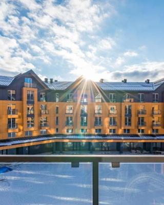 Cozy one bedroom apartment in New Gudauri