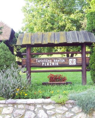 Guest House Turistična kmetija Plaznik