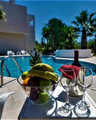 XENOS VILLA 2 with a private pool,near the sea