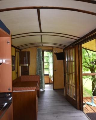 terrebio bungalow