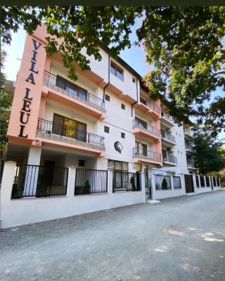 Vila Leul