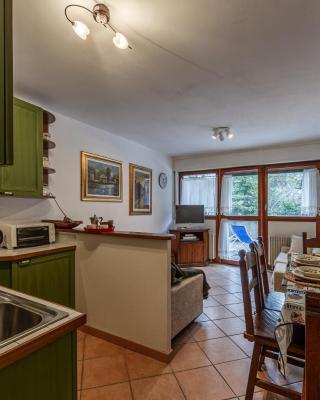 APT PLANIBEL - Comfort sulle piste da SCI - LA THUILE 0086