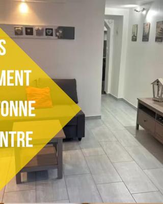 Le Tonneliers - bel appartement au centre Mulhouse