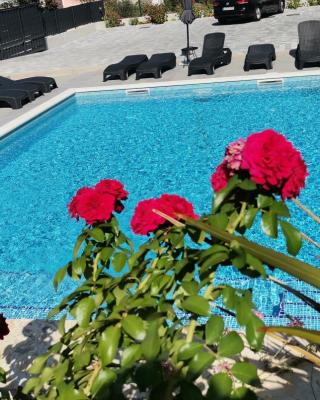 Villa Barbara & Zoran with heated swimming pool