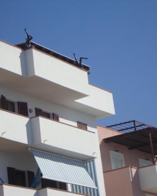 BB Lampedusa Cavaliere