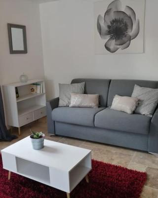 Joli studio calme et moderne