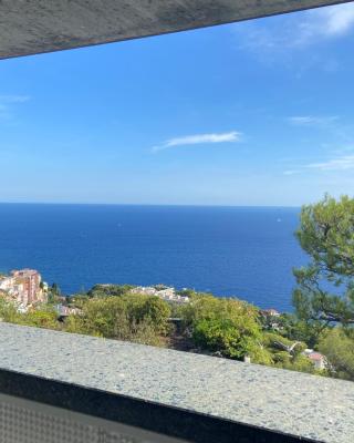 MONACO DOORS 5 Vue Mer, piscine, parking