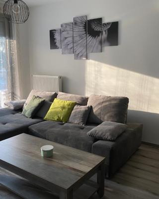 Edison Villa 204
