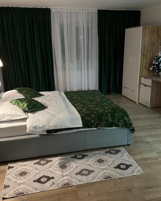 Casa Roby-lzvor Sinaia