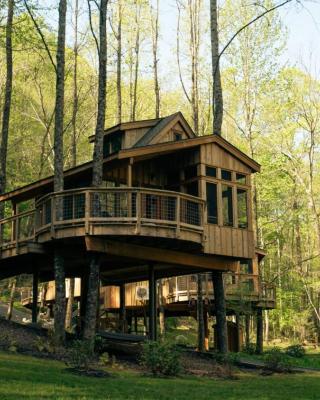 The Magnolia in Treehouse Grove at Norton Creek