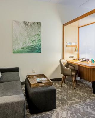 SpringHill Suites Tampa North/Tampa Palms