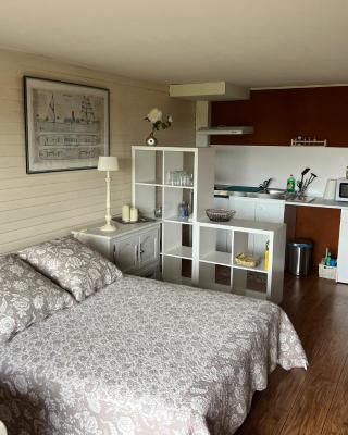 Grand Studio Vue Mer et Jardin
