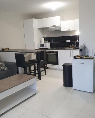 Appartement avec 2 chambres, un parking privé, une terrasse, à Floirac-Arkéa Arena Bordeaux