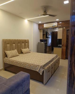 Luxury Furnish Studio Apt 623 in DLF Moti Nagar Delhi
