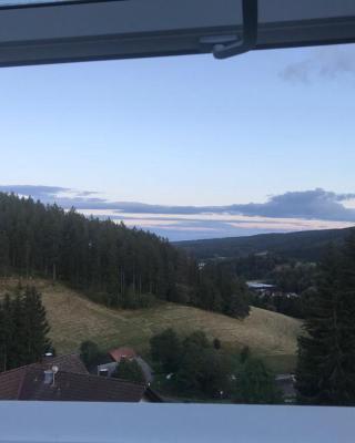 Haus Imgard