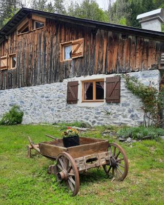 Chalet la corne du chamois