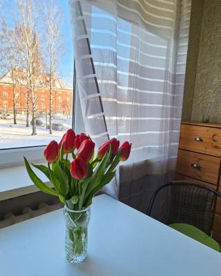 Narva City Hall Apartment