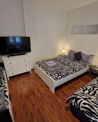 Belgrade Downtown Homestay