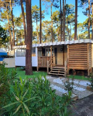 Mobil home les dunes de contis "domino"