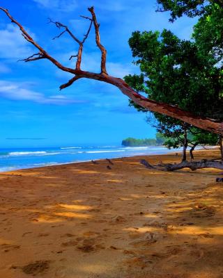 Kiao Beach