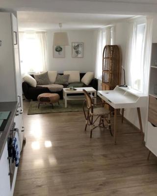 Gemütliche Kleine Wohnung