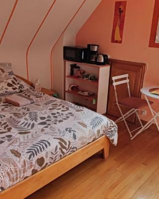 2 Belles chambres avec balcon sdb et WC privatifs