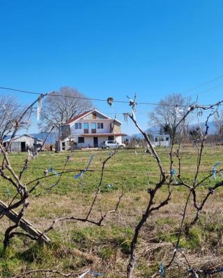 Guesthouse Gjegji