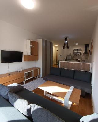Apartman Markovic Rich