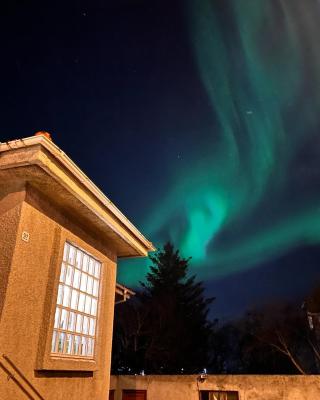 Casa Dísa - Apartments A Boutique Guesthouse in Reykjavik City`s Central Park and Botanical Garden in Laugardalur, Hot-Spring-Valley